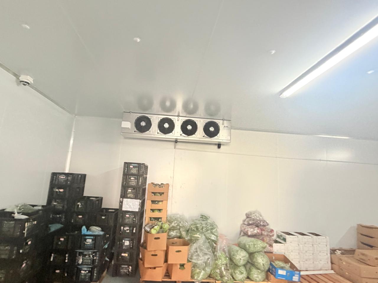 Commercial cold room with multi-fan evaporator unit and fresh produce storage